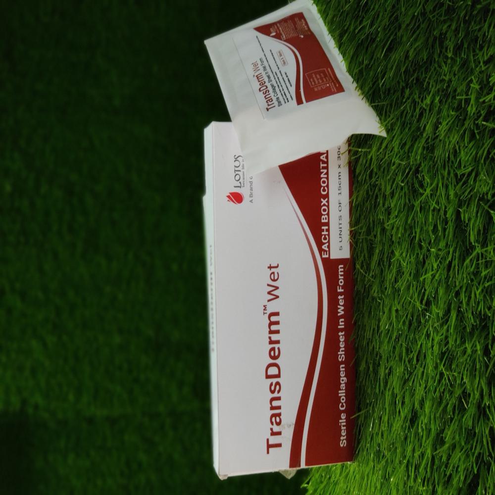 Collagen Sheet