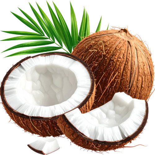 Raw Coconut