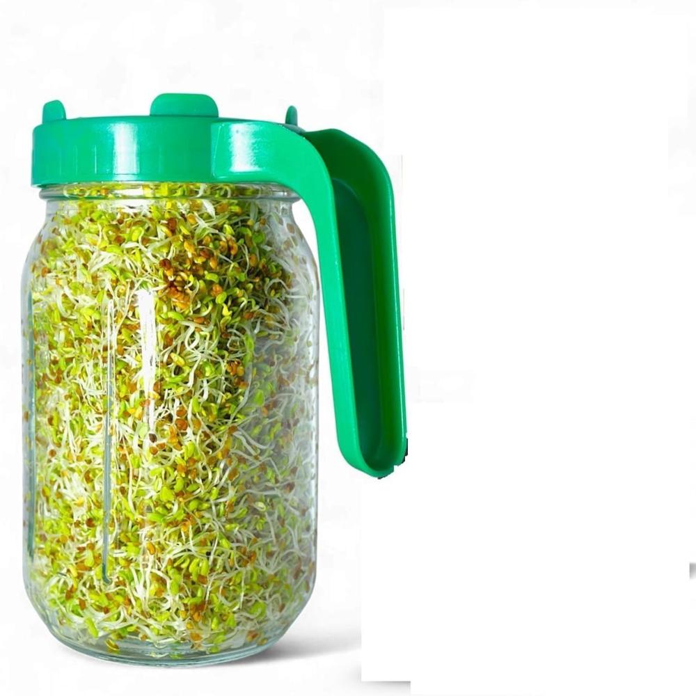 Glass Sprout Maker Jar With Lid