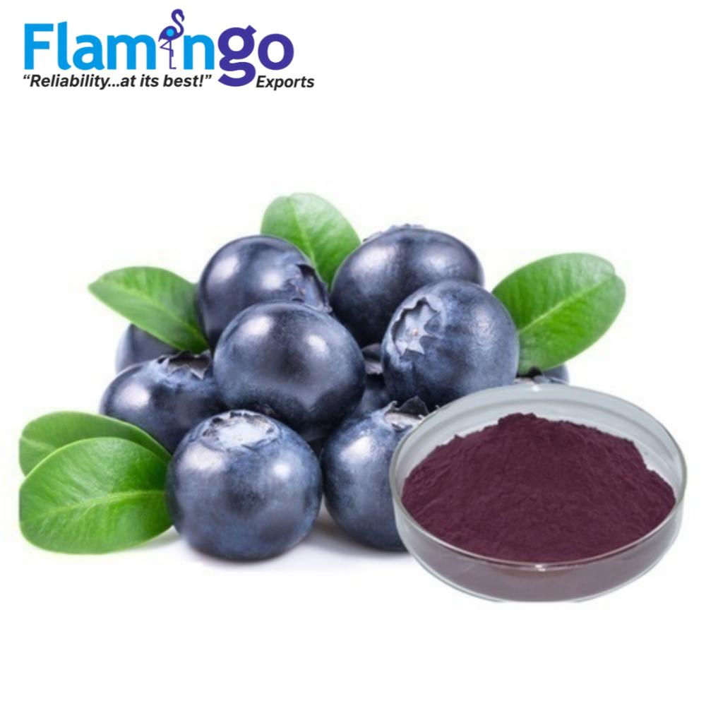 Billbery Extract 25%