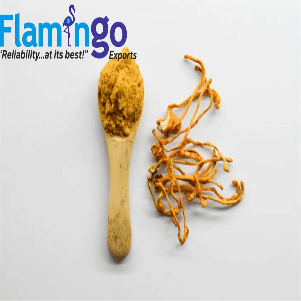 Cordyceps Extract 20%