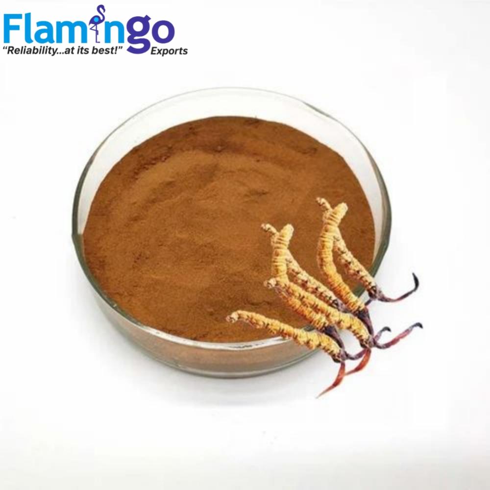 Cordyceps Extract 20%