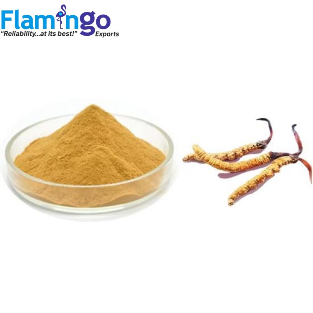 Cordyceps Extract 20%
