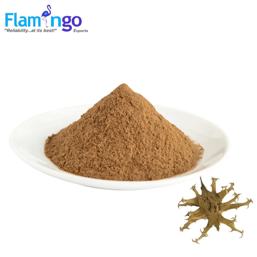 Devil's Claw Extract 10%