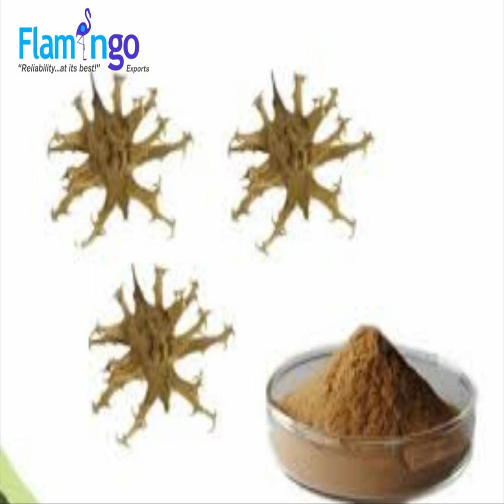 Devil's Claw Extract 10%