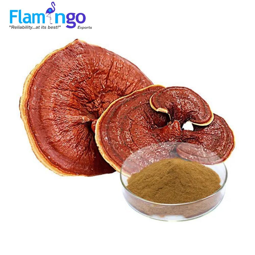 Ganoderma Extract 5HTP