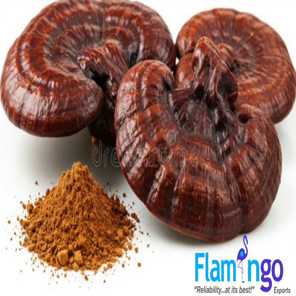 Ganoderma Extract 5HTP