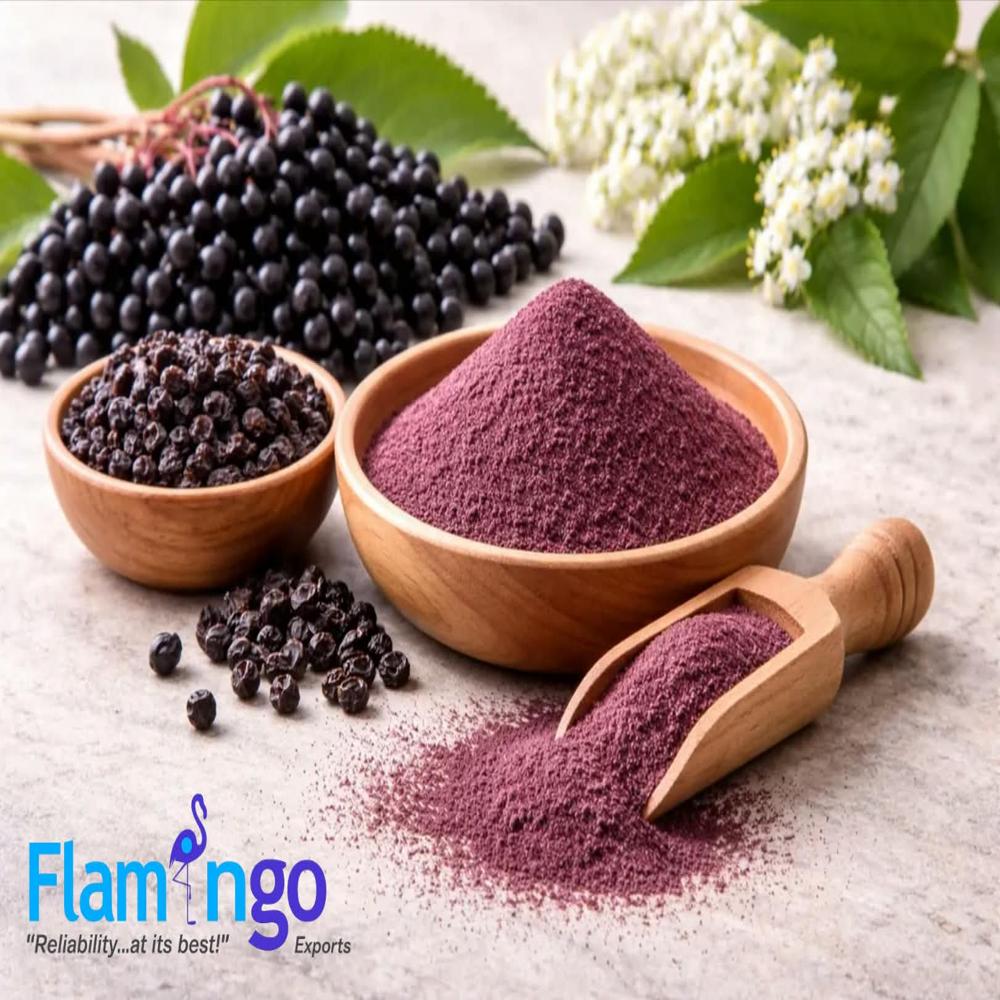 Elderberry Extract 25%
