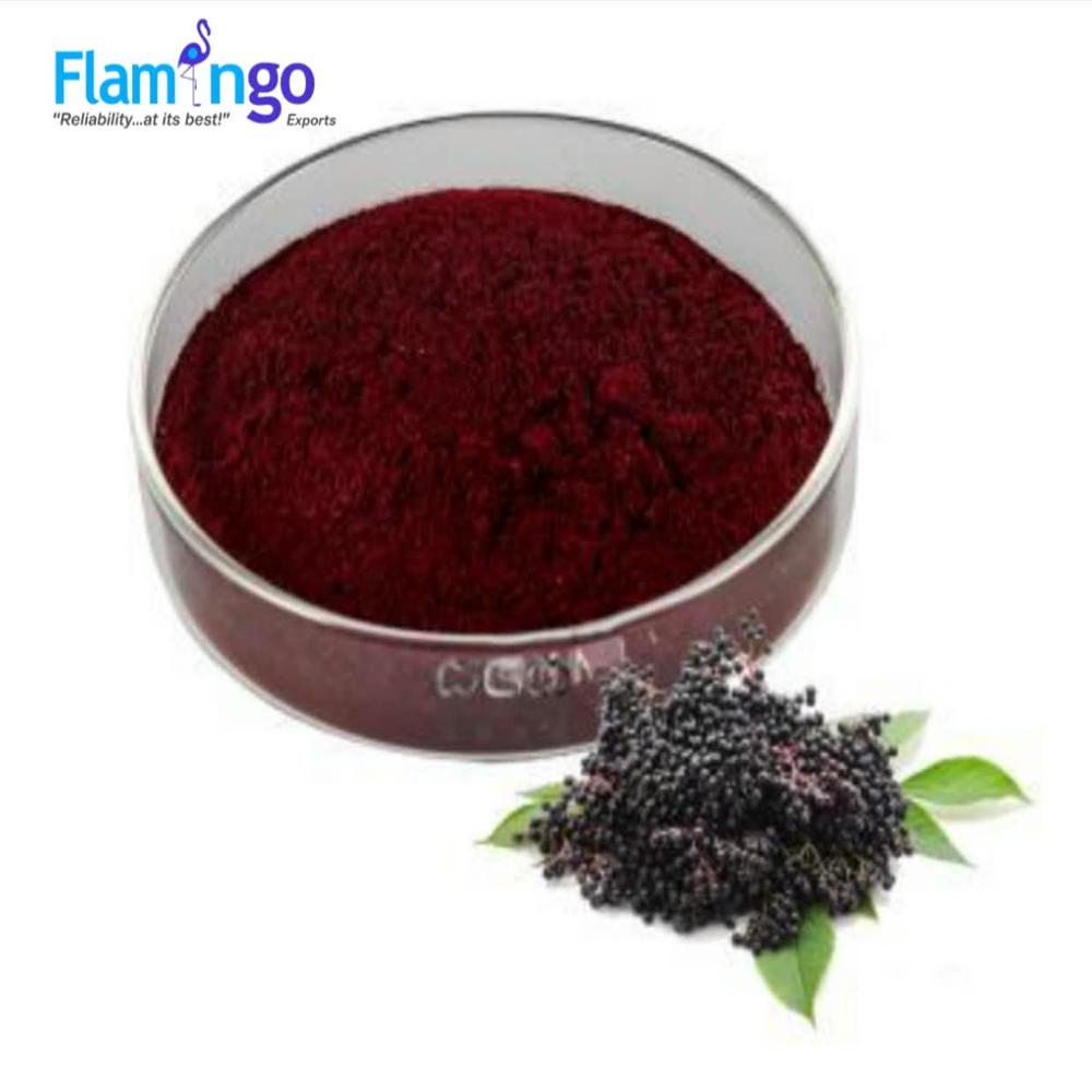 Elderberry Extract 25%