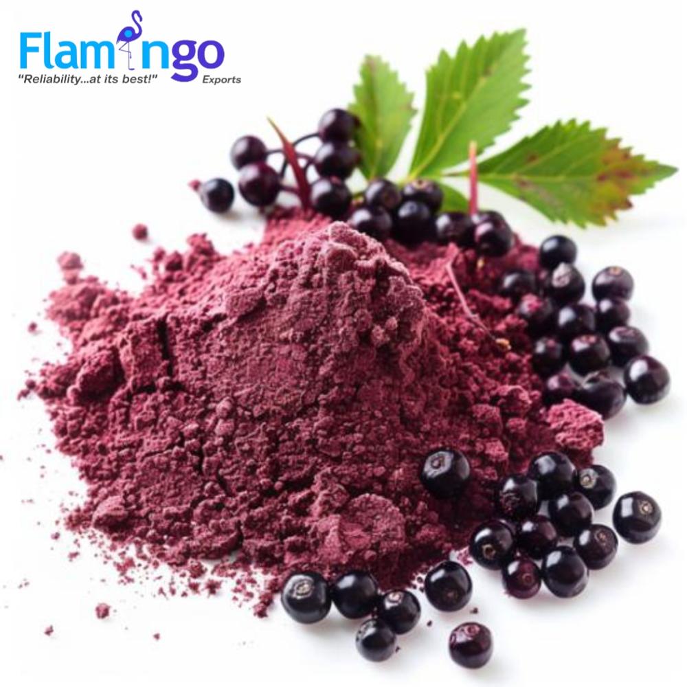 Elderberry Extract 25%