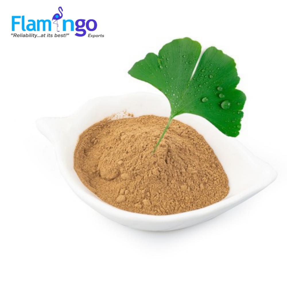 Gingko Biloba Extract 24%