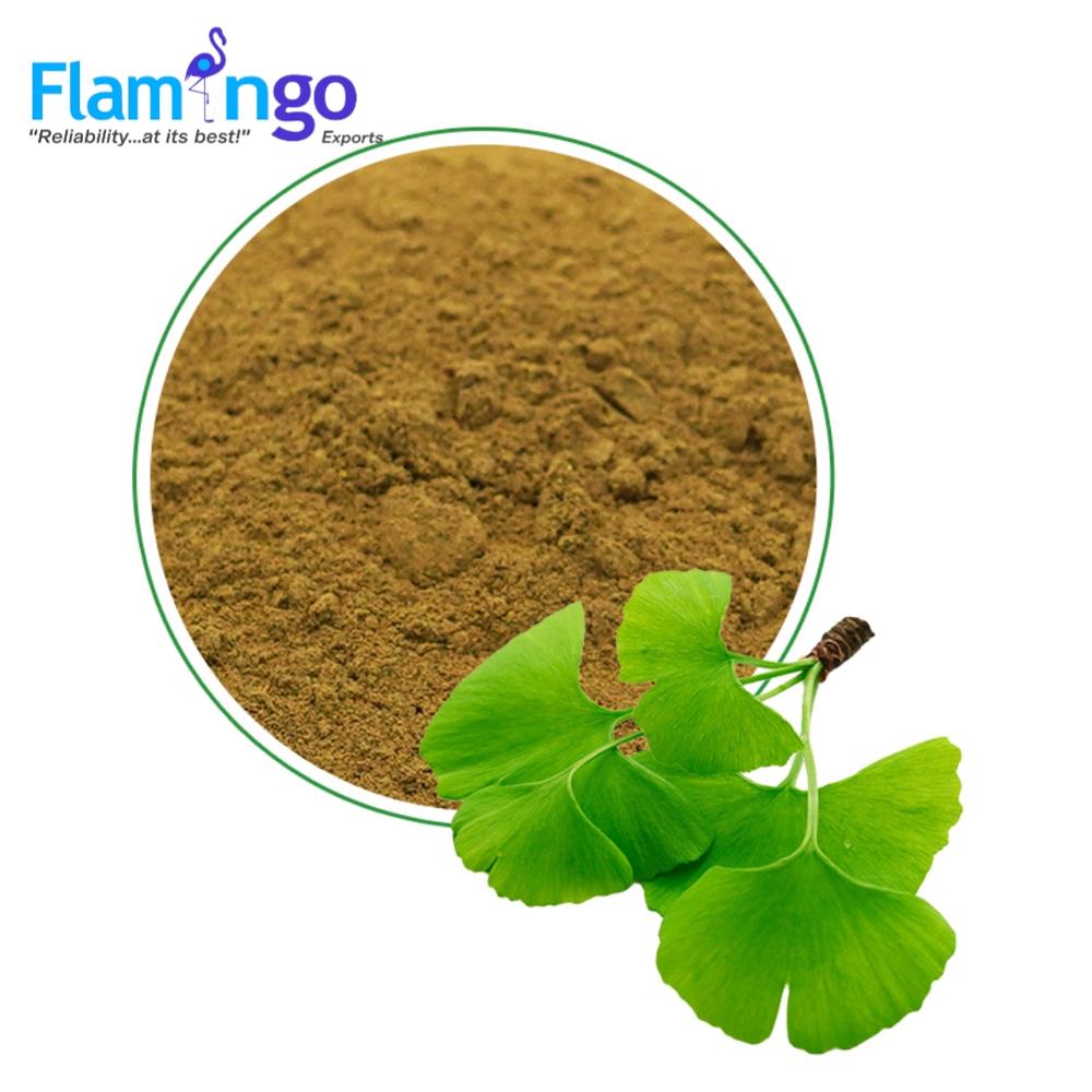 Gingko Biloba Extract 24%