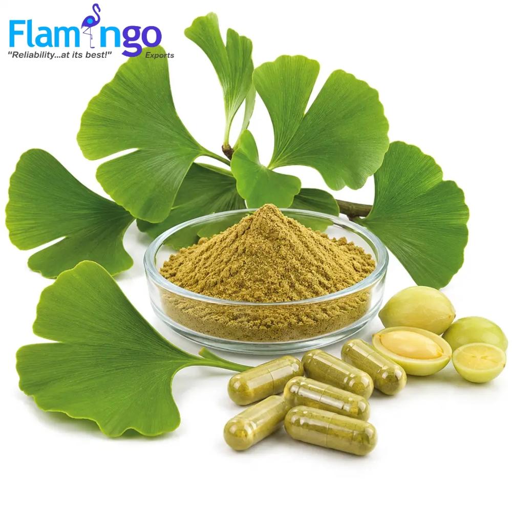 Gingko Biloba Extract 24%
