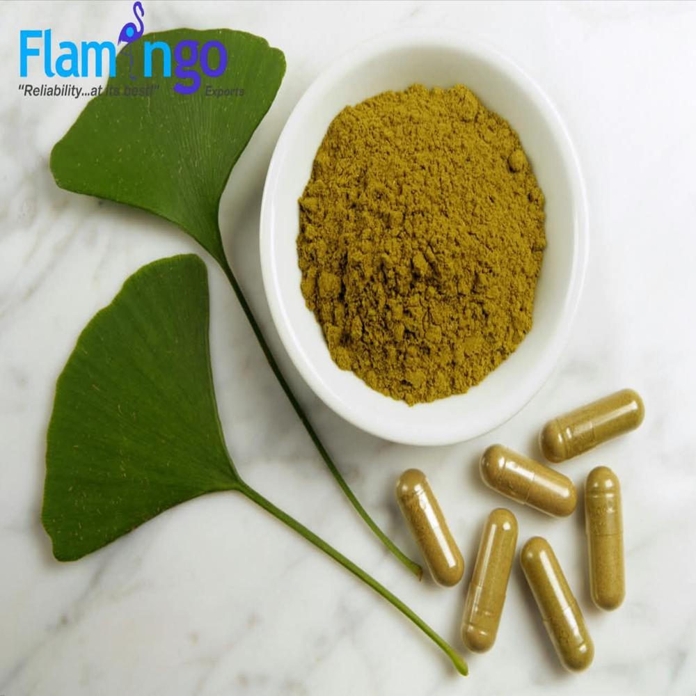 Gingko Biloba Extract 24%