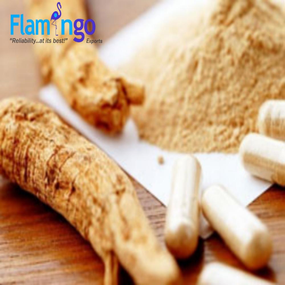 Ginseng Extract 20%