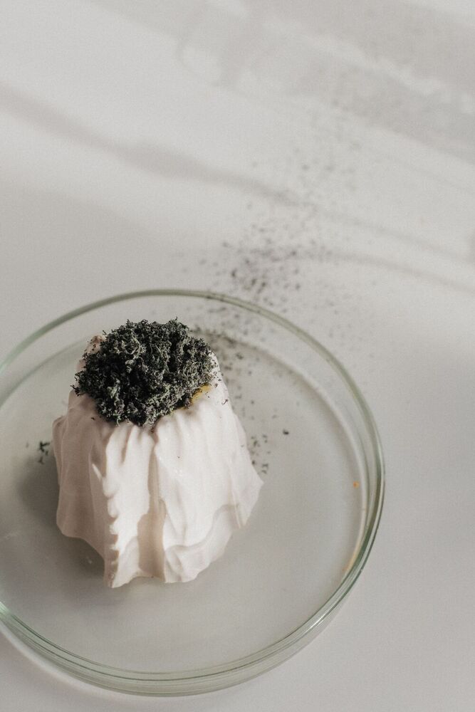 Freeze Drying Project