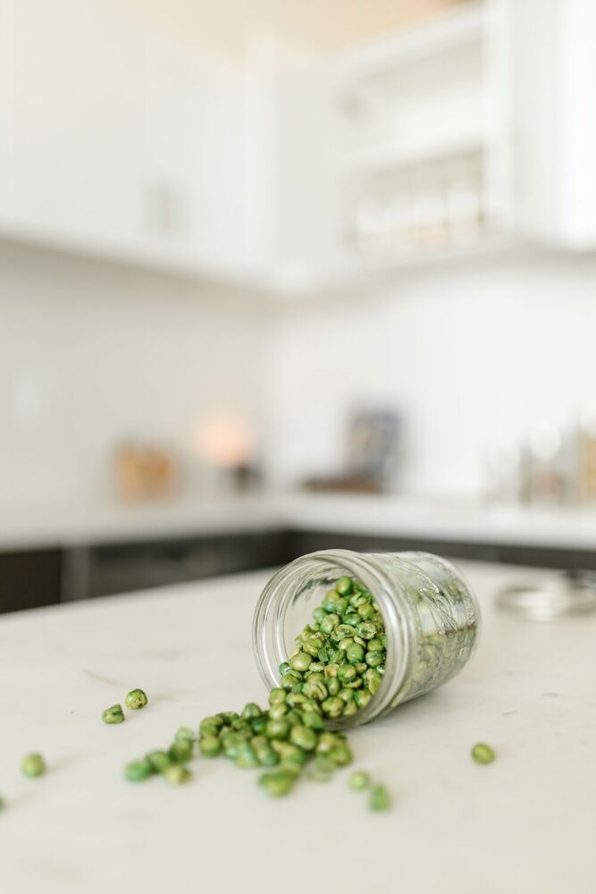 Freeze Drying Project