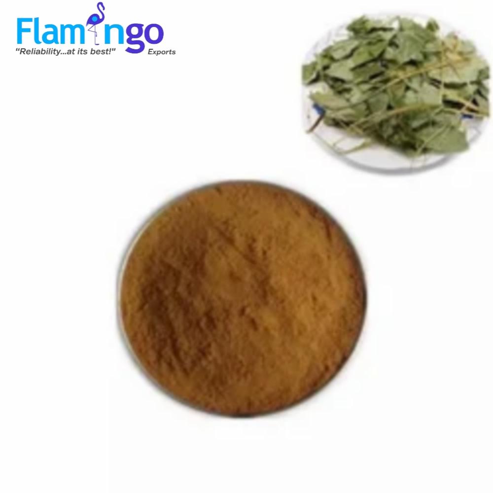 Horny Goat Weed Extract 20%