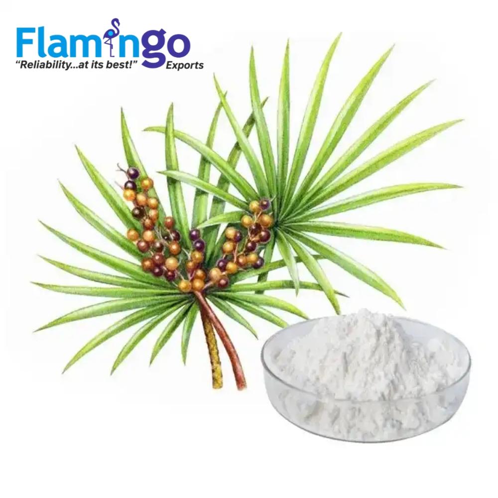 Saw Palmetto Extract 45%