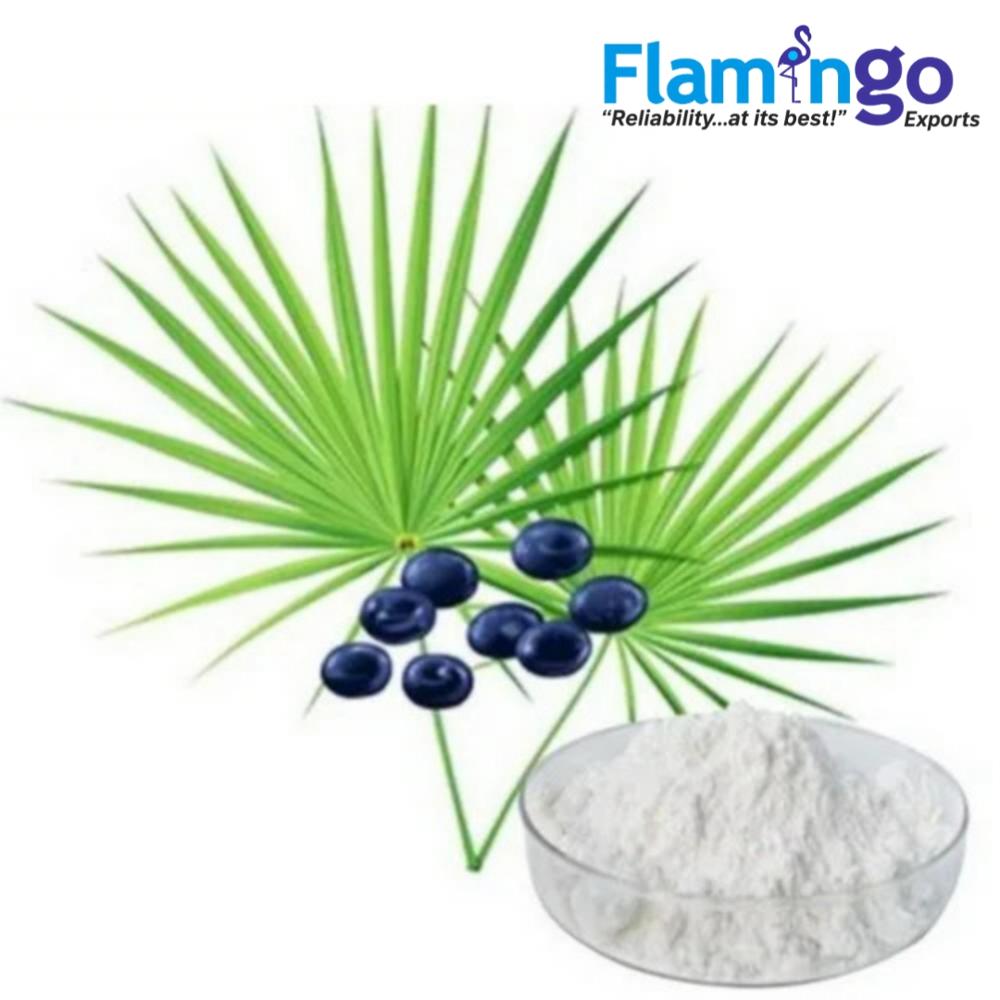 Saw Palmetto Extract 45%