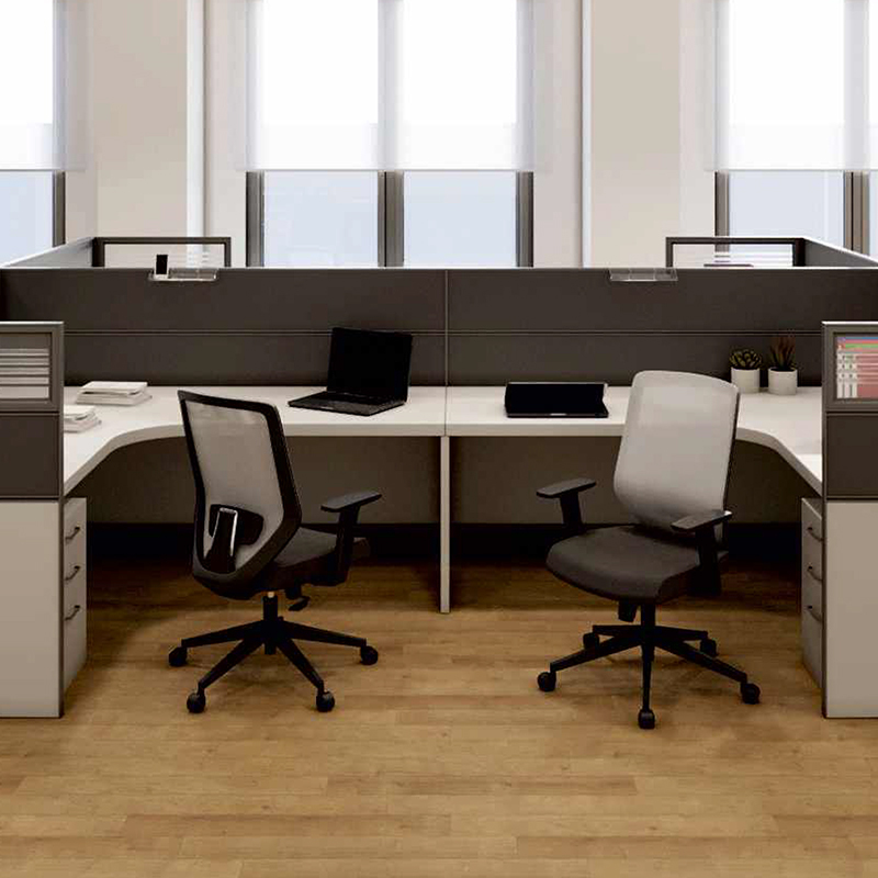 Transform Plus Workstation