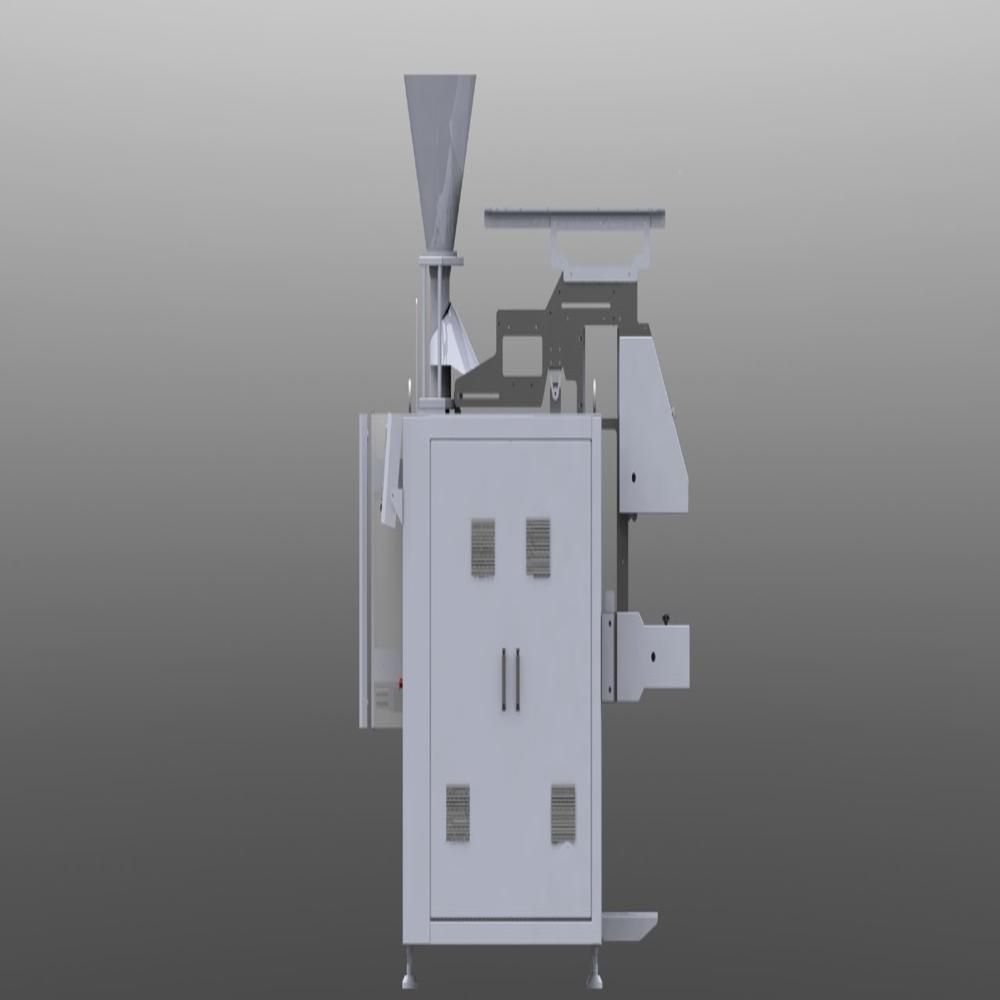 Multi Head Packing Machine