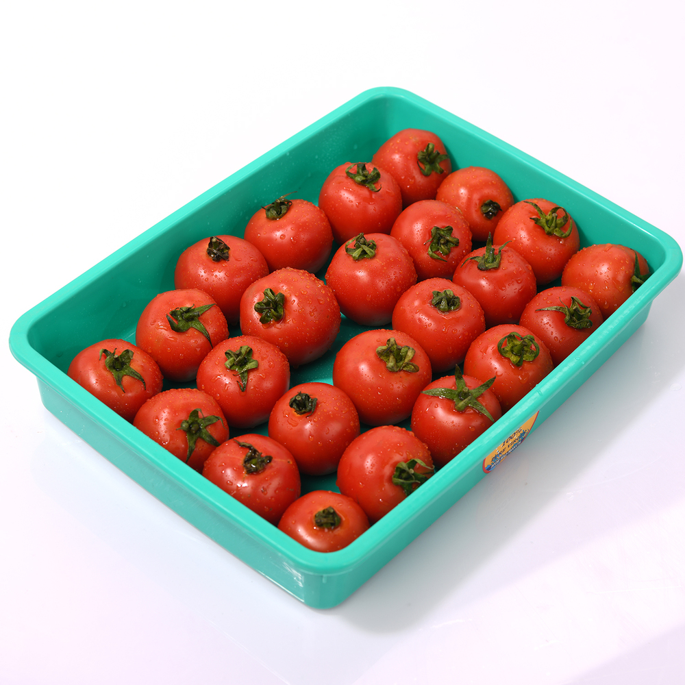 Plastic Storage And Utility Tray