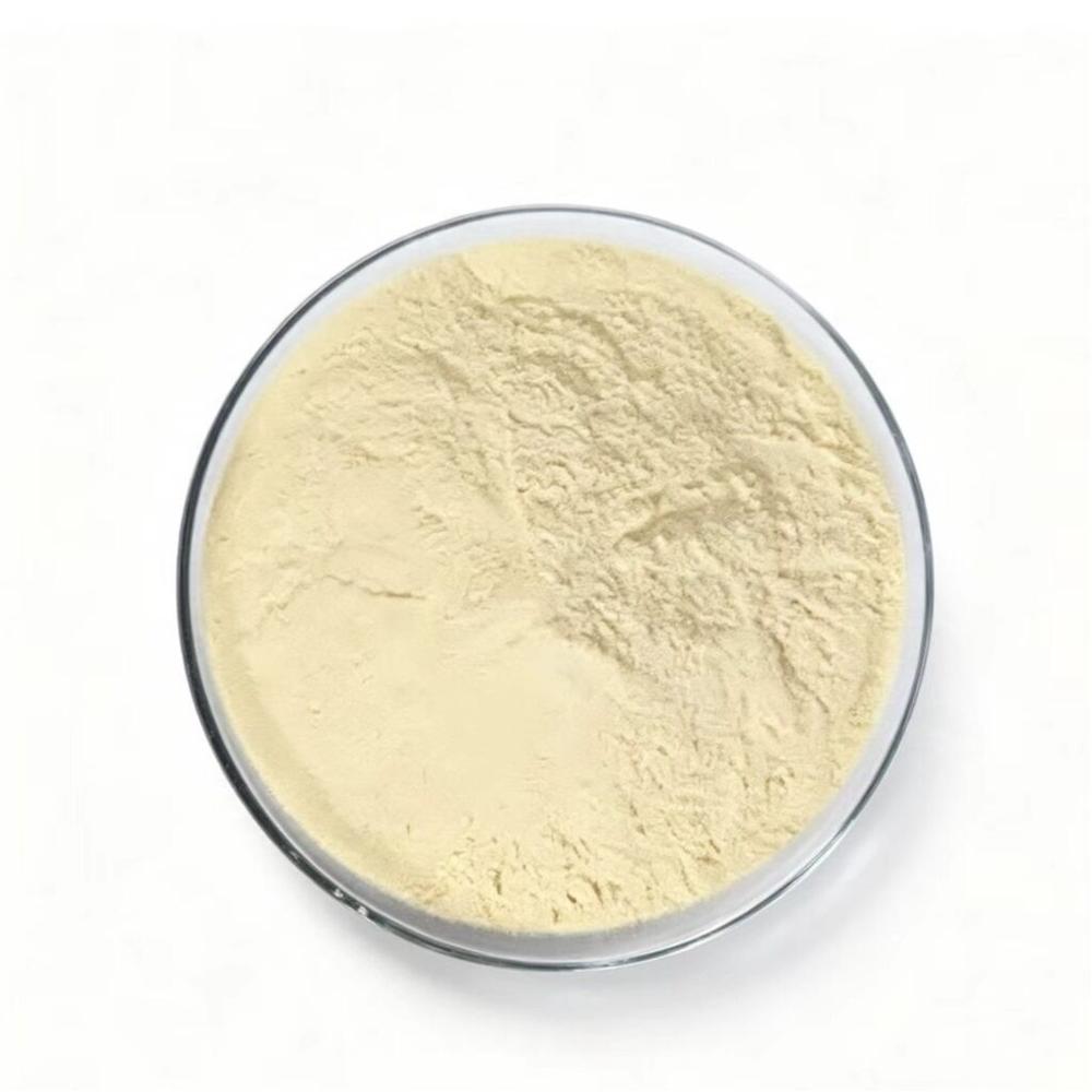 Manufacturer of High Quality Food Grade Pineapple Enzyme CAS 9001-05-2 Bromelain Powder