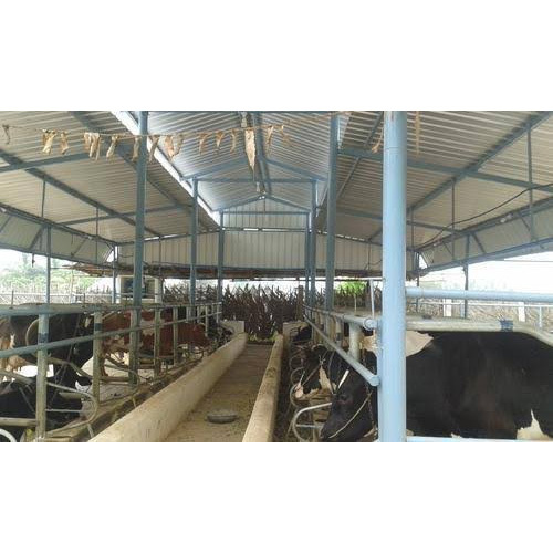 PEB Dairy Farm Structures