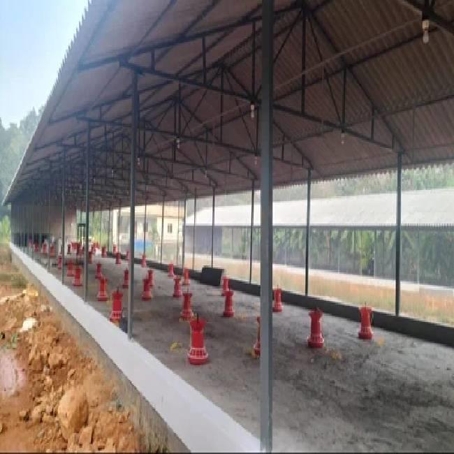 PEB Poultry Shed Structures