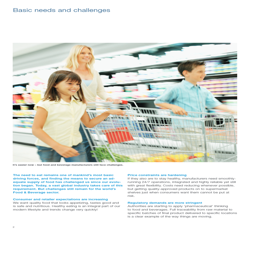 Food And Beverages Automation Panel Services