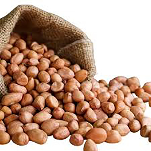 Organic Groundnut - Variety: Raw