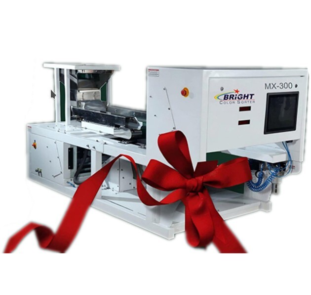 Belt Sorting Machine