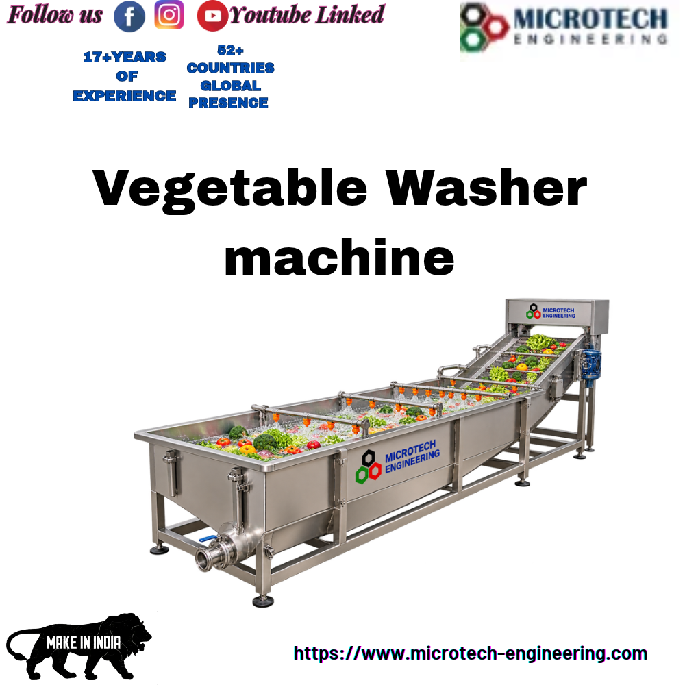 Vegetable Washer machine