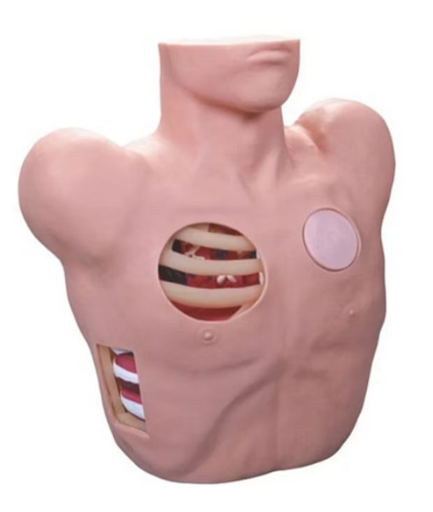 Chest Tube Manikin