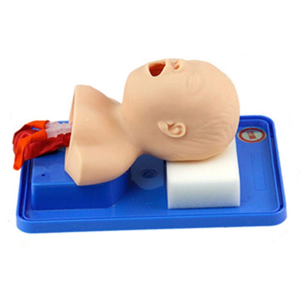 Infant & Child Airway Management Trainer