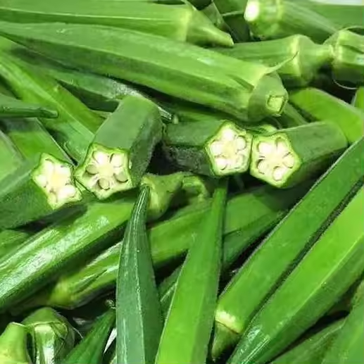Fresh Green Vegetable Okra