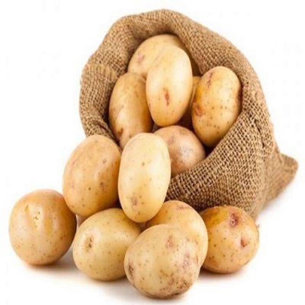 Low-cost Fresh Potatoes for trade