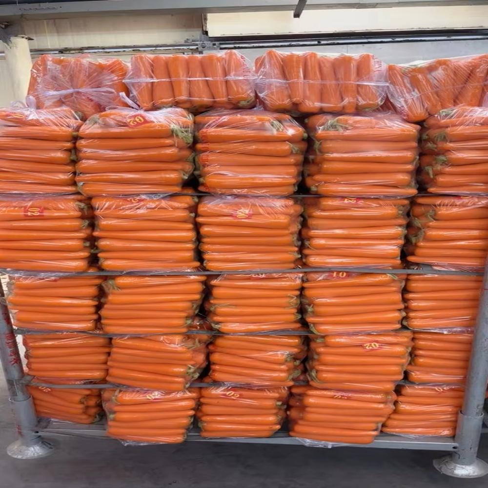 Fresh Carrots New Harvest Grade A