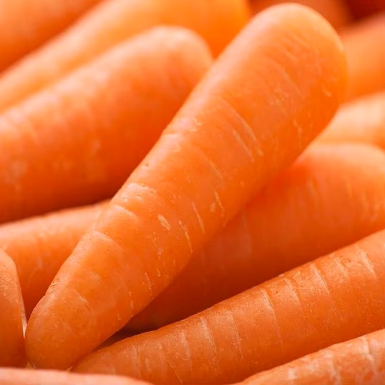 Fresh Carrots New Harvest Grade A