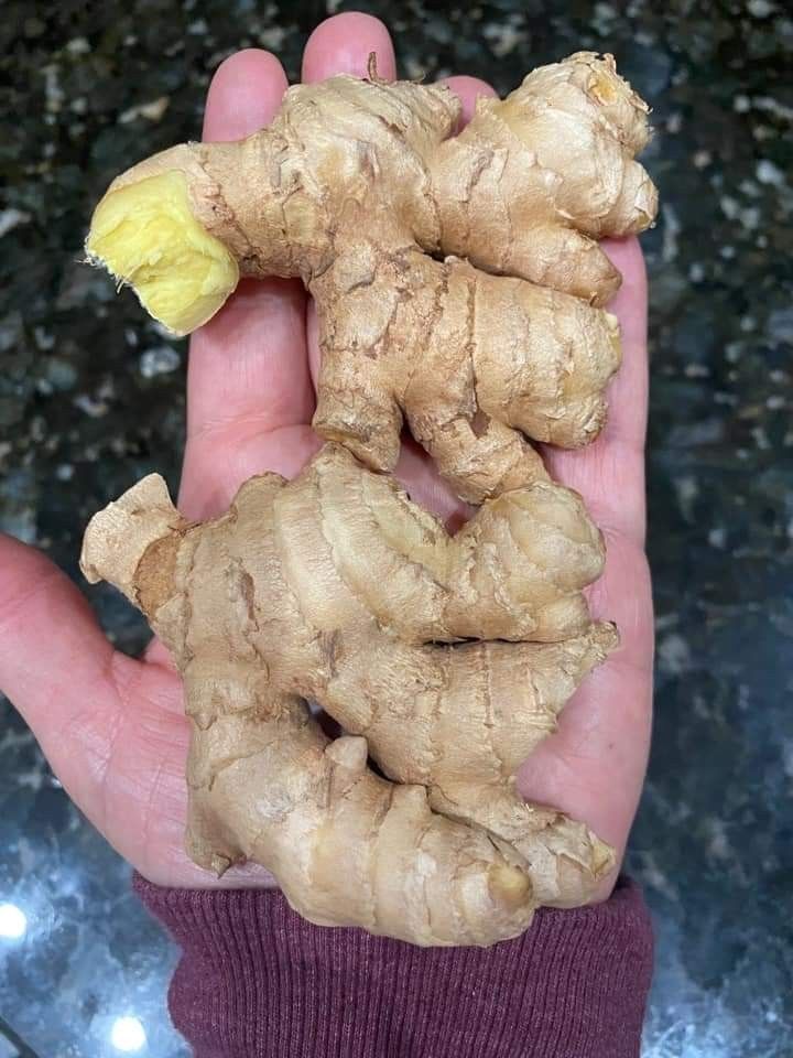 Premium Quality Fresh Ginger Root Wholesale Fresh Vegetables Ginger Bulk Stock At Wholesale Cheap Price