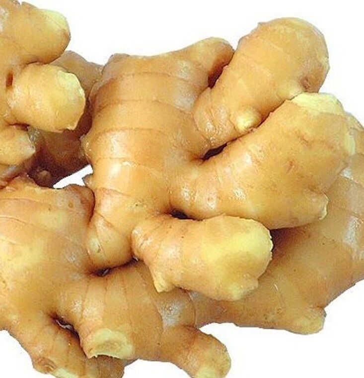 Premium Quality Fresh Ginger Root Wholesale Fresh Vegetables Ginger Bulk Stock At Wholesale Cheap Price