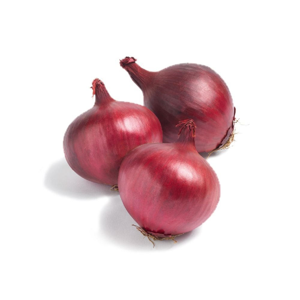 Fresh New Shallot Red Onion Fresh