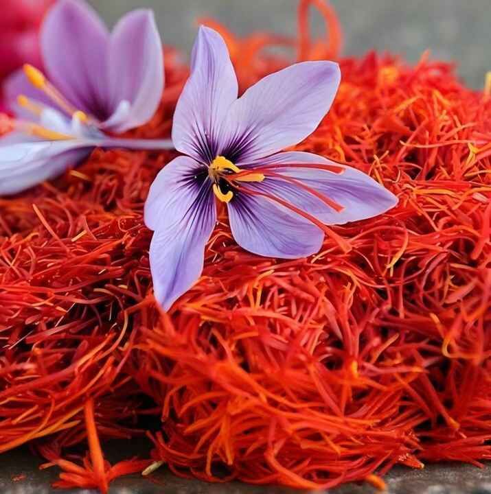 Premium Grade Organic Saffron Threads | 100% Pure Natural Persian Saffron | Gourmet Spice for Cooking, Tea & Beauty Use