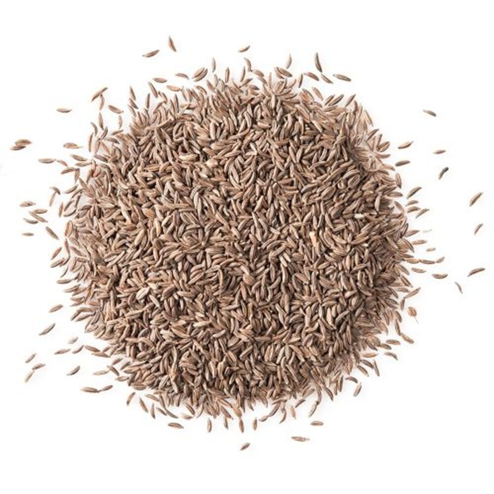 Caraway Seeds for Wholesale Export