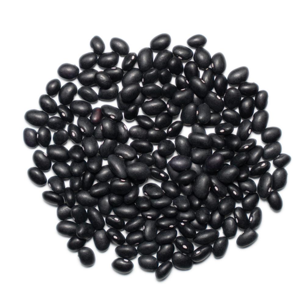 Premium Grade Dry Black Beans