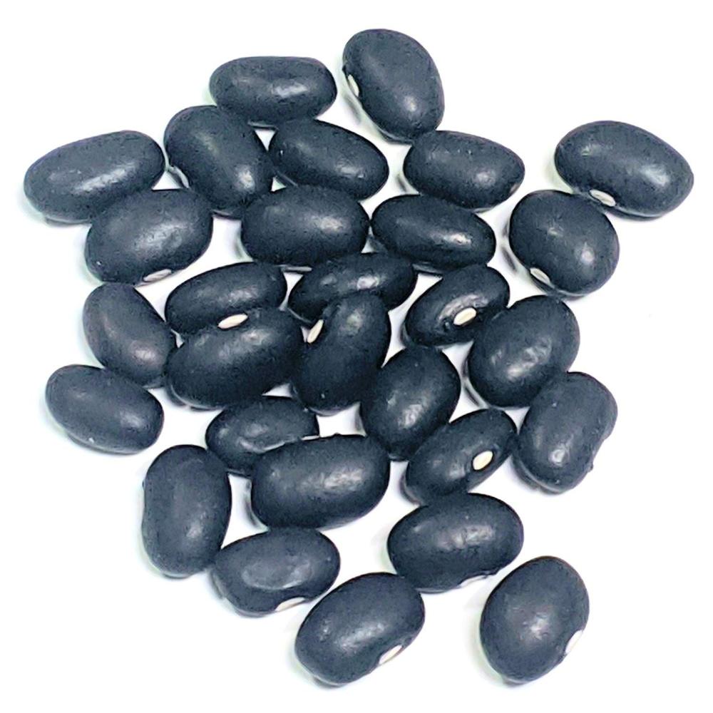 Premium Grade Dry Black Beans