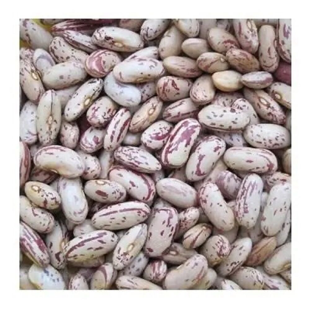 Premium Quality Speckled Kidney Beans
