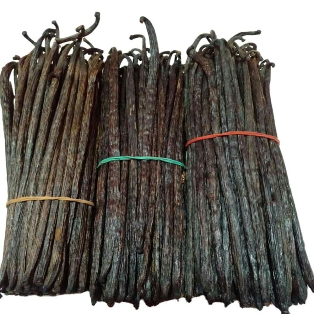 Black Vanilla Bean