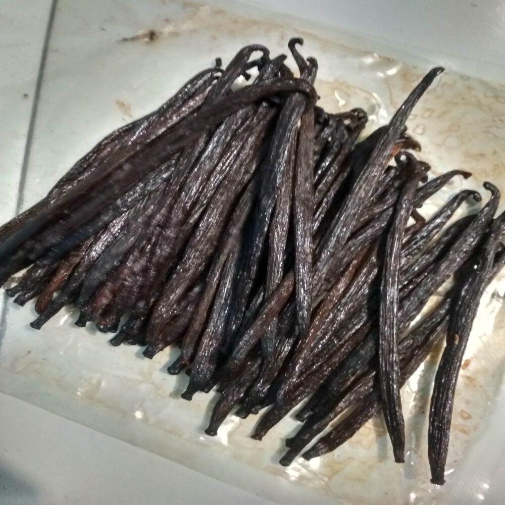 Black Vanilla Bean